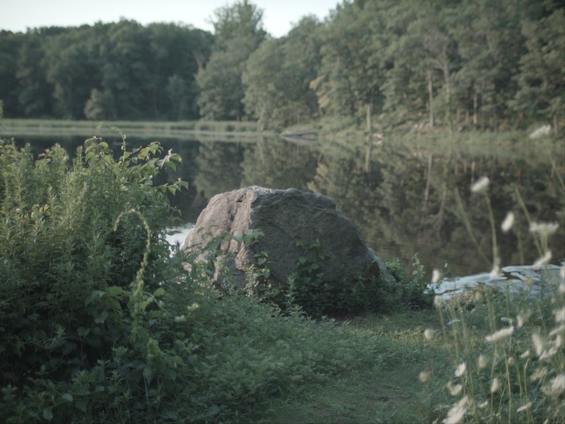 CAMERA BASELINE: T007 · Frame 276–299 · Panasonic V-709 As Shot